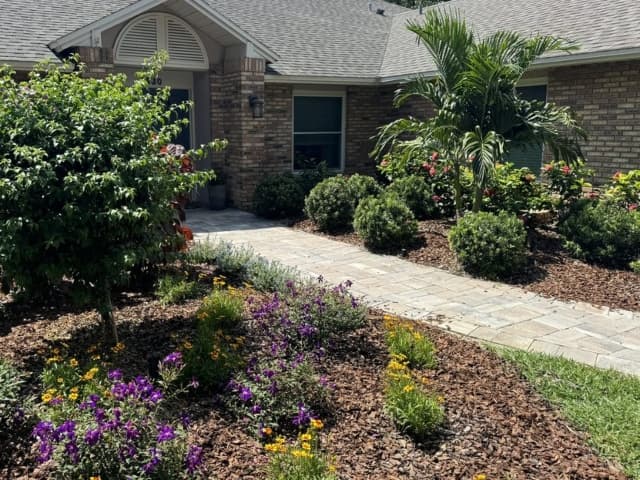 Landscaped Orlando Lawn